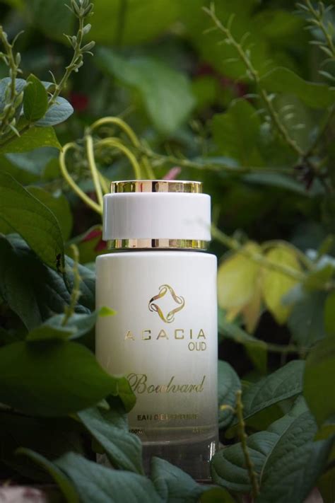 acacia oud perfume.